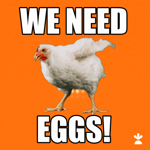 chicken gif