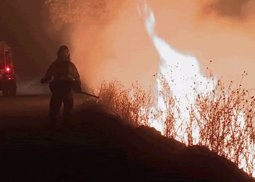 wildfire and firefighter