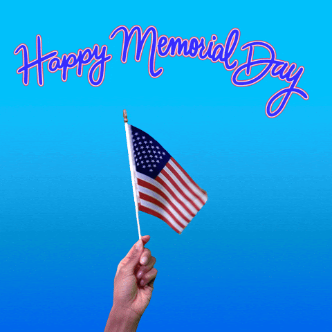 hand holding a waving flag